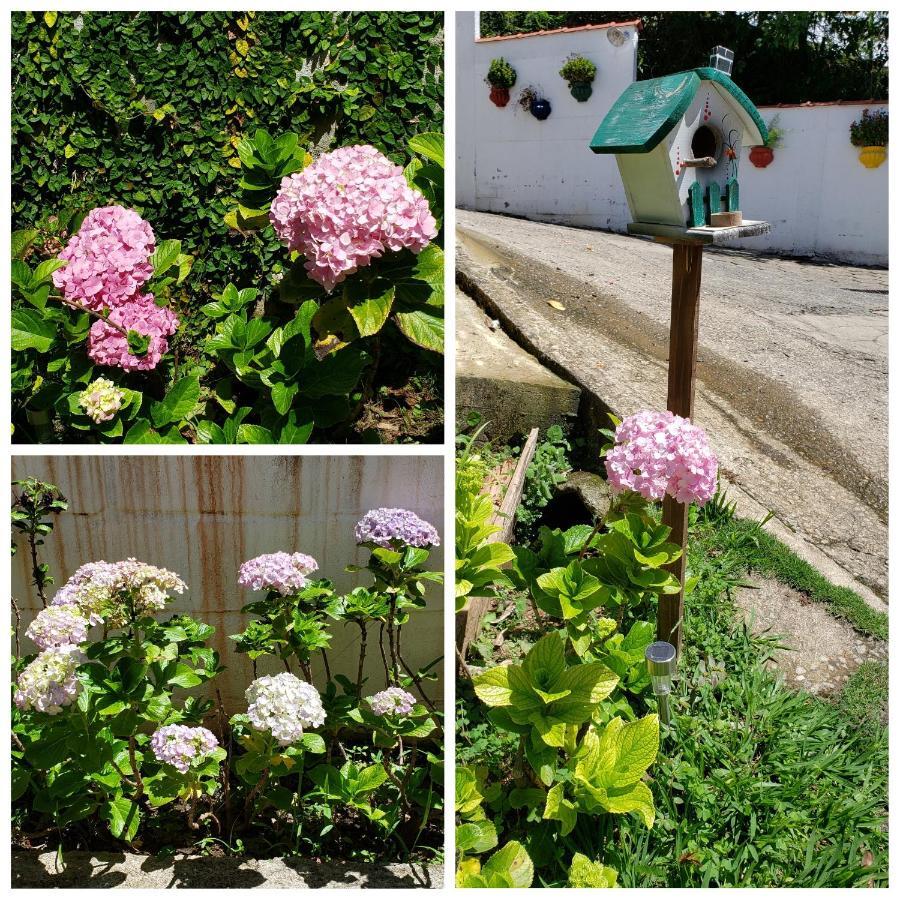 Pousada Das Hortensias Conservatória Dış mekan fotoğraf